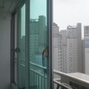 보성황실타운 이미지