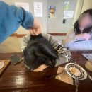 닷컴분식 이미지