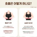 올바른필라테스 네이버블로그