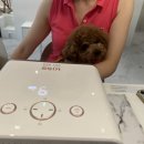 순수네일 네이버블로그