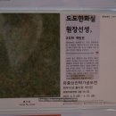 아크릴화&어반스케치 | 성인취미미술_도도한 화실_잠실 원데이클래스_매력터지는 어반스케치 후기