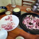 사리나무꽃이피는집 이미지