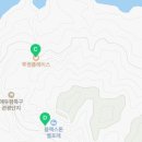 블랙스톤벨포레 루지 딜라이트 이미지