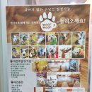 발바닥애견카페 이미지