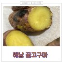 남쪽창고농수산물협동조합 | 해남고구마 꿀고구마 군고구마 만들기 남쪽창고농수산물협동조합