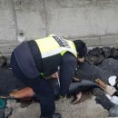 170.경찰서앞_1 이미지