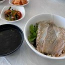 한스 강아지방 이미지