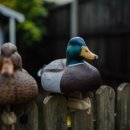 신라촌가든 이미지