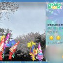 베트남노상식당 동리단길 이미지