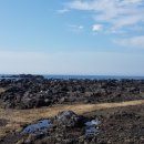 애월의아침 민박 이미지