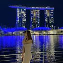 11545-01-52-37 | [공지] 싱가포르 2일차 먹방 코스 🇸🇬 | 멕스웰 치킨라이스 · 바쿠테 · 센토사 피맥까지 (자세한 비용...