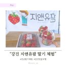 강진-19 | 강진 반값 여행 코스 추천 지앤유팜 아이랑 딸기체험 가격 예약 후기 총정리 🍓