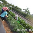 으뜸농장 이미지