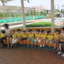 어린이 교통교육장 Daum카페