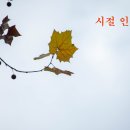 정호순 시조 시절인연 시.ai작곡 이미지