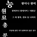 [무덤의 종류] 능, 원,총, 묘,분 이미지