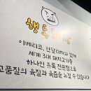 행동돼장