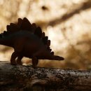 스테고사우루스-1 이미지