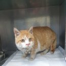 연당조전로 이미지