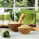 비엠에스 이미지