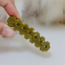 한컴말랑말랑행복케어 | 굿포펫 강아지덴탈껌 엔자이츄 츄잉 – 노령견도 좋아하는 말랑 케어