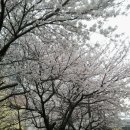 미포초등학교 이미지