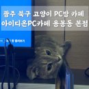 고양이PC&카페 이미지