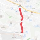 감천할매칼국수 | 사하구 주민이 추천하는 동네 벚꽃명소(사하구 현지인 벚꽃 명소, 부산 사하구 숨은 벚꽃 명소, 2024년...