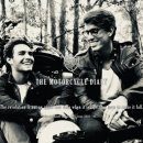 안경진정성 고산점 이미지