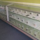 벽제초등학교 이미지