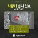 섬세한사랑니치과의원 이미지
