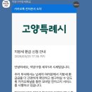 카카오지방세