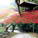 용천사 치유센터 이미지