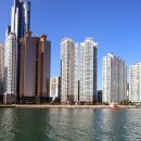 24시이스턴동물의료센터 이미지