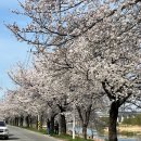 동구 자전거쉼터 이미지