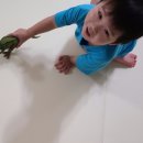 렉스디테일 이미지