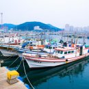 울진건어물 이미지