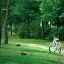 힐링타임 이미지