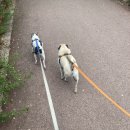 본가 뼈다귀 감자탕 별내직영점 이미지