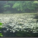 청학화원