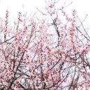 우남한의원 이미지