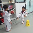 다정 MBA 태권도(2관) | [다정동 태권도,새롬동 태권도]다정MBA태권도 발차기 수업, 아이의 성장을 바꾸는 이유