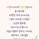 엽서 Daum카페