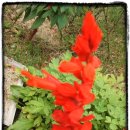 청림민박 이미지