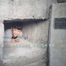 태백장성게스트하우스 이미지