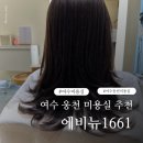 에비뉴1661