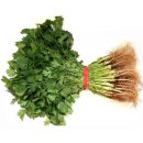 고수1로 이미지