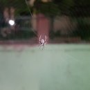 존재의 무게 이미지