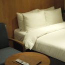 워시웰 | 무심천 벚꽃길 인근 청주감성숙소 올이즈웰호텔 후기