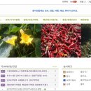 도넛전문점 이미지